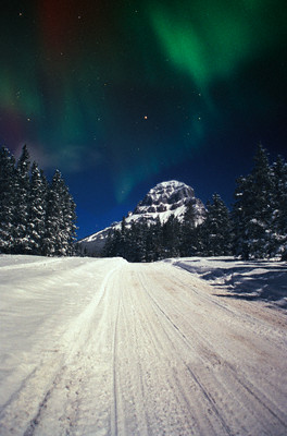 Iditarod